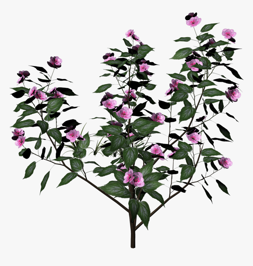 Bush Plant Flowers - Arbusto De Flores Png, Transparent Png