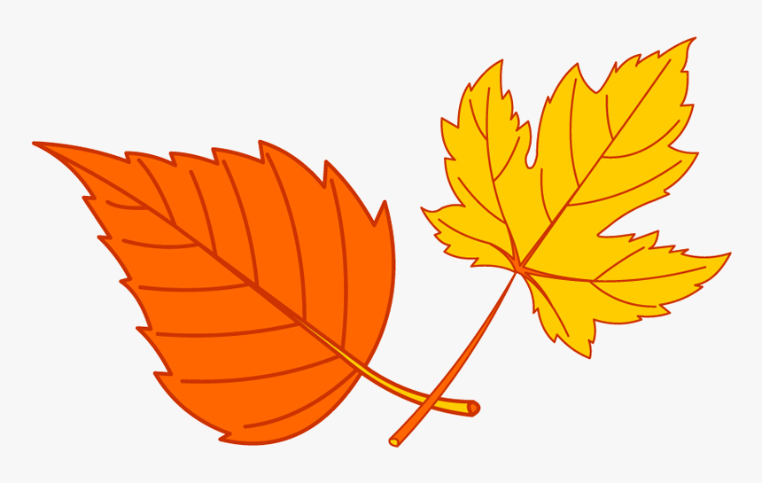 Why Did The Turkey Hunter Shoot The Turkey - Small Fall Leaves Clipart, HD Png Download