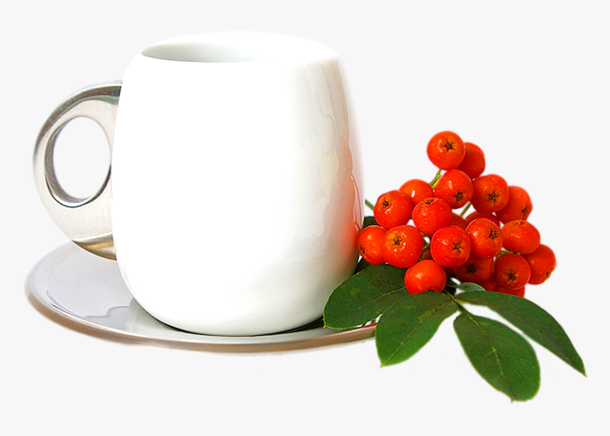 Coffee Cup, HD Png Download