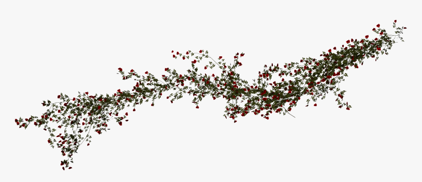 Beach Rose Download Icon - Beach Rose Vines Png, Transparent Png