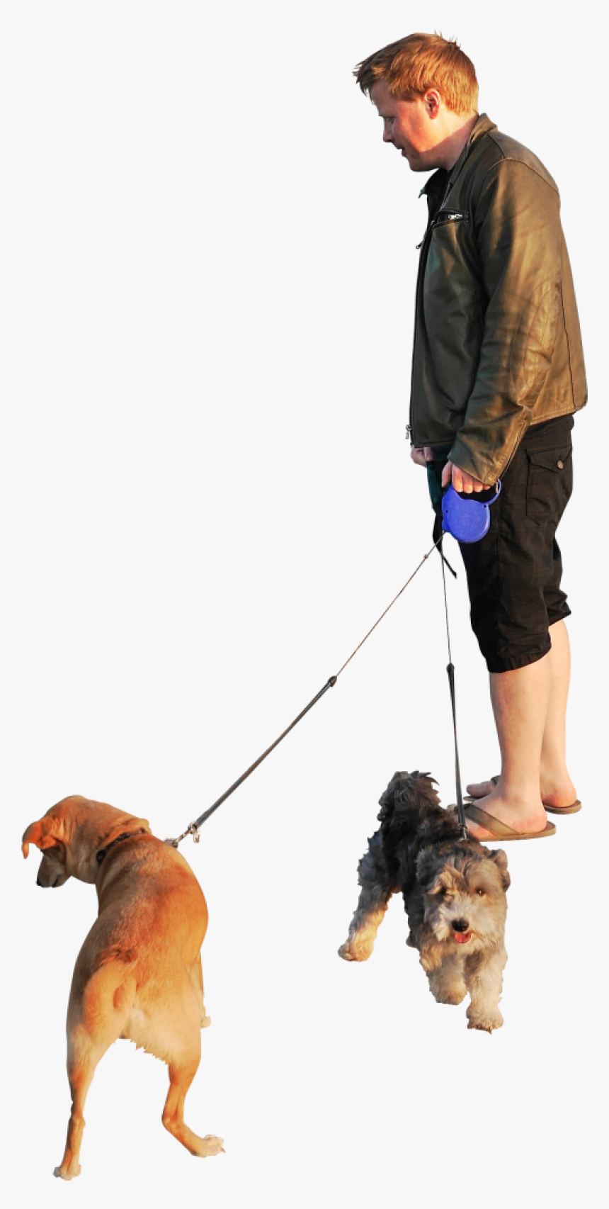 Transparent Group Of People Png - Walking Dog Transparent Background, Png Download