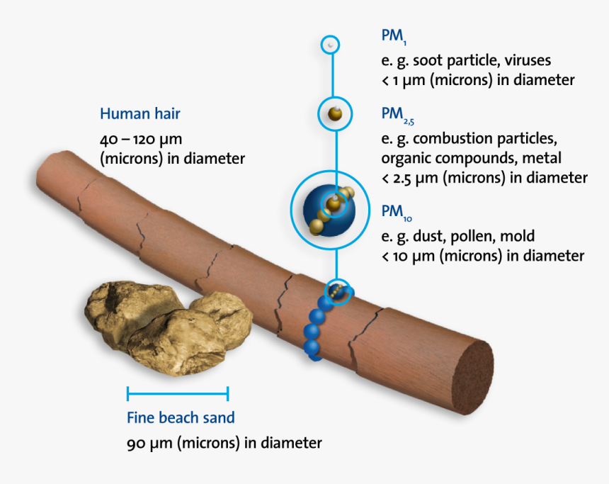 Transparent Dust Particle Png - Pm1 Particles, Png Download