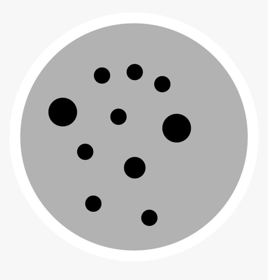 Circle , Png Download - Circle, Transparent Png