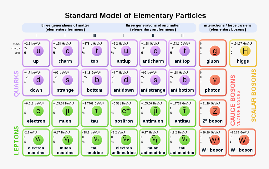 Standard Model Particles, HD Png Download