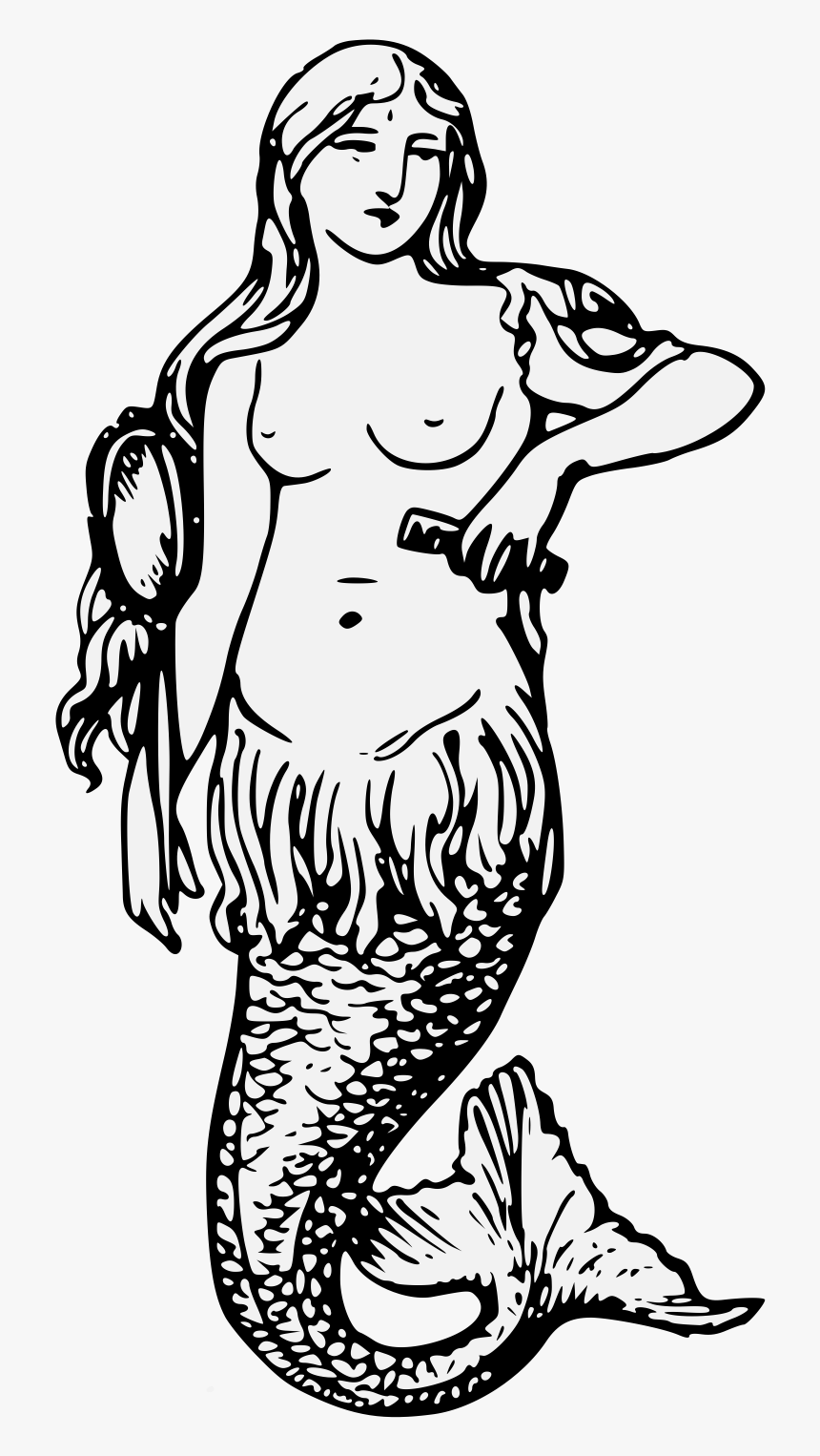 Mermaid Heraldry, HD Png Download