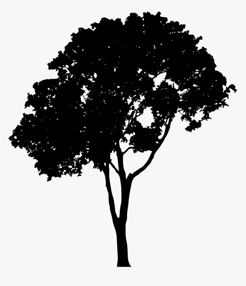 Transparent Silhouette Png Images - Trees Vector Png Free, Png Download