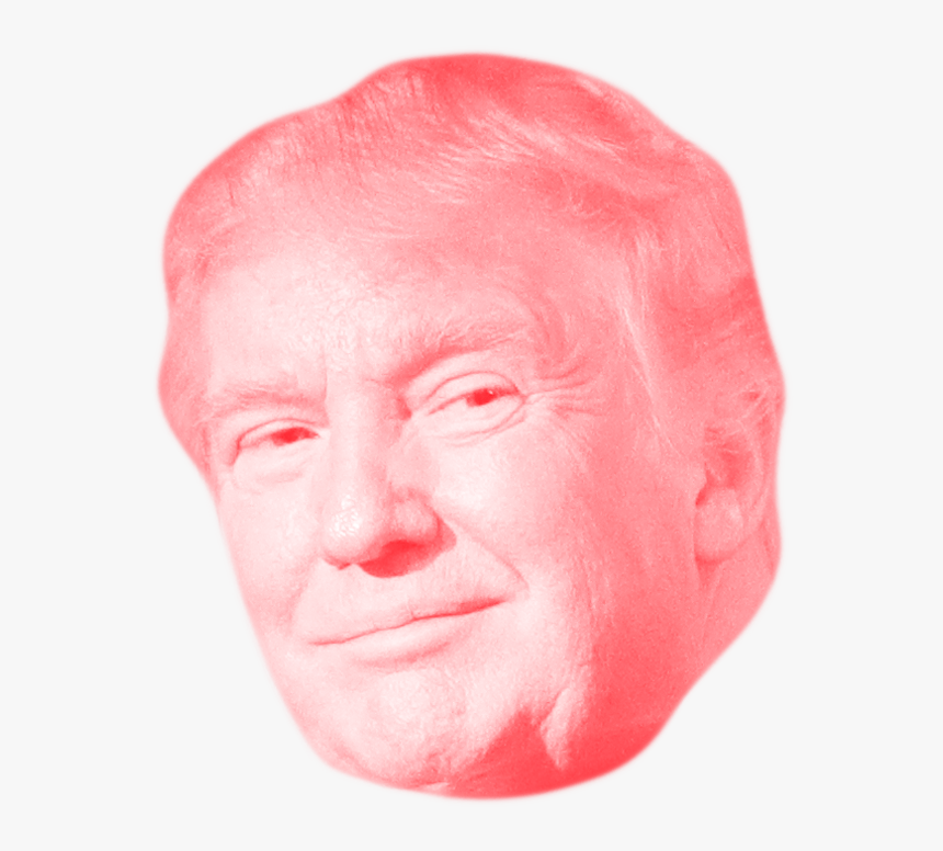 Racism Word Transparent, HD Png Download