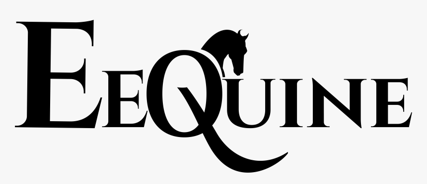 Eequine - Stallion, HD Png Download