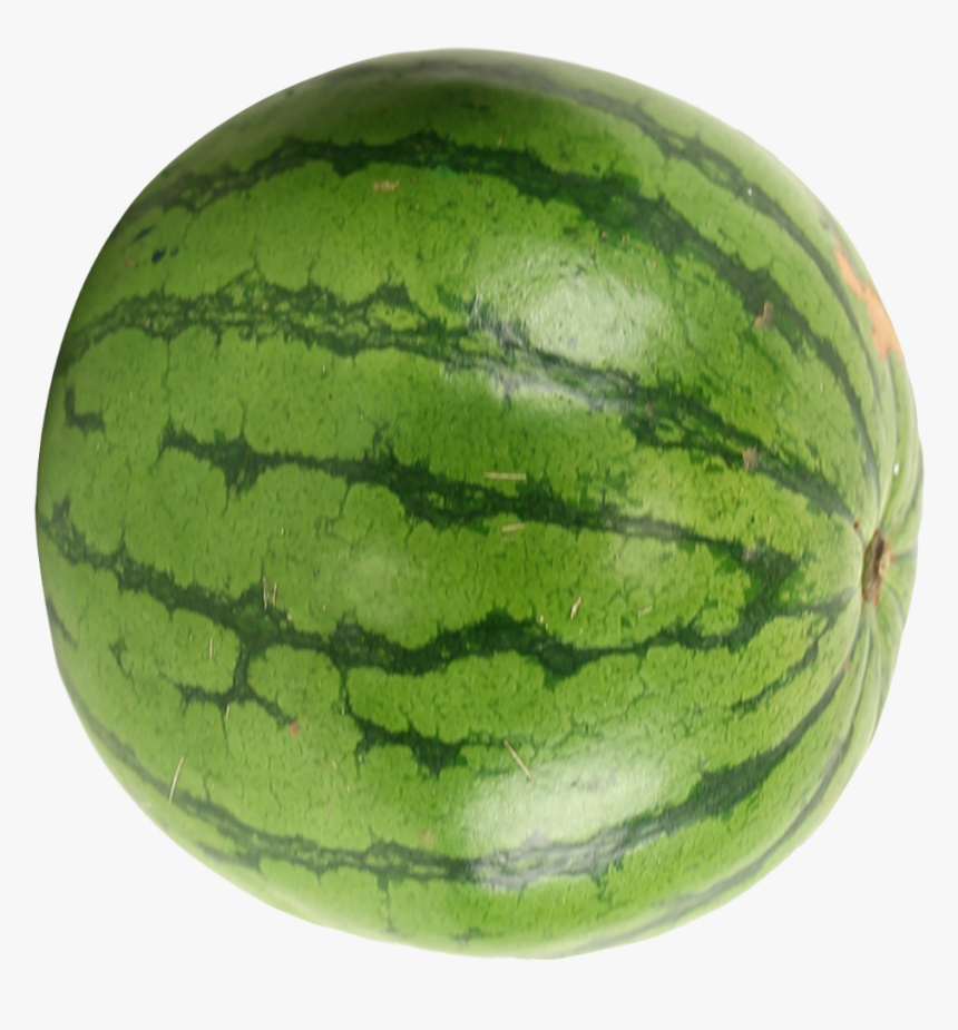Watermelon Png Transparent, Png Download