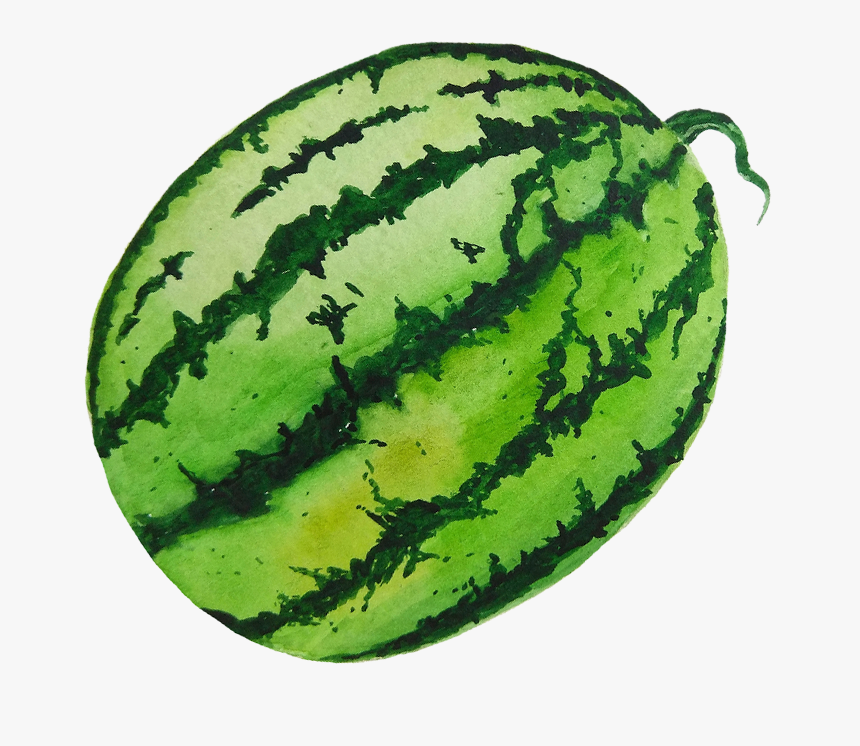 Watermelon, HD Png Download