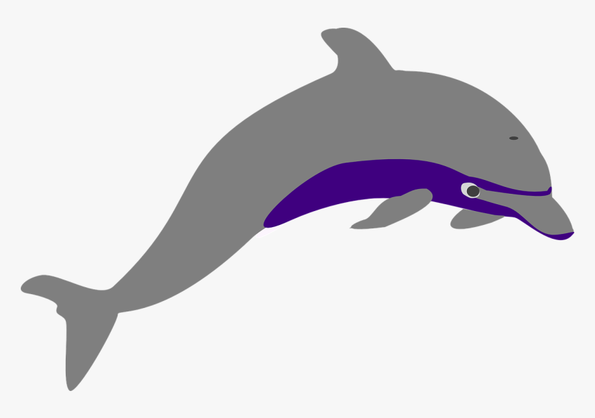 Dolphin Vector 11, Buy Clip Art - Dolphin Jump Png, Transparent Png