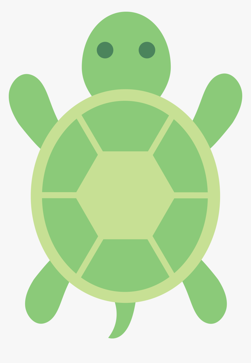 Turtle Clipart, HD Png Download