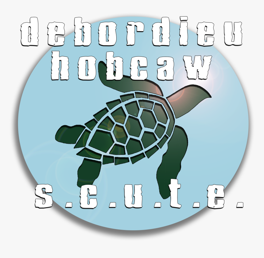 Debordieu & Hobcaw S - Hawksbill Sea Turtle, HD Png Download