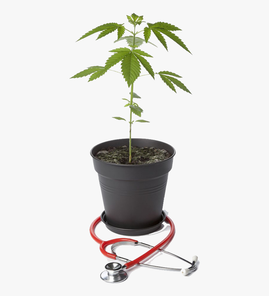 Hemp Png, Transparent Png