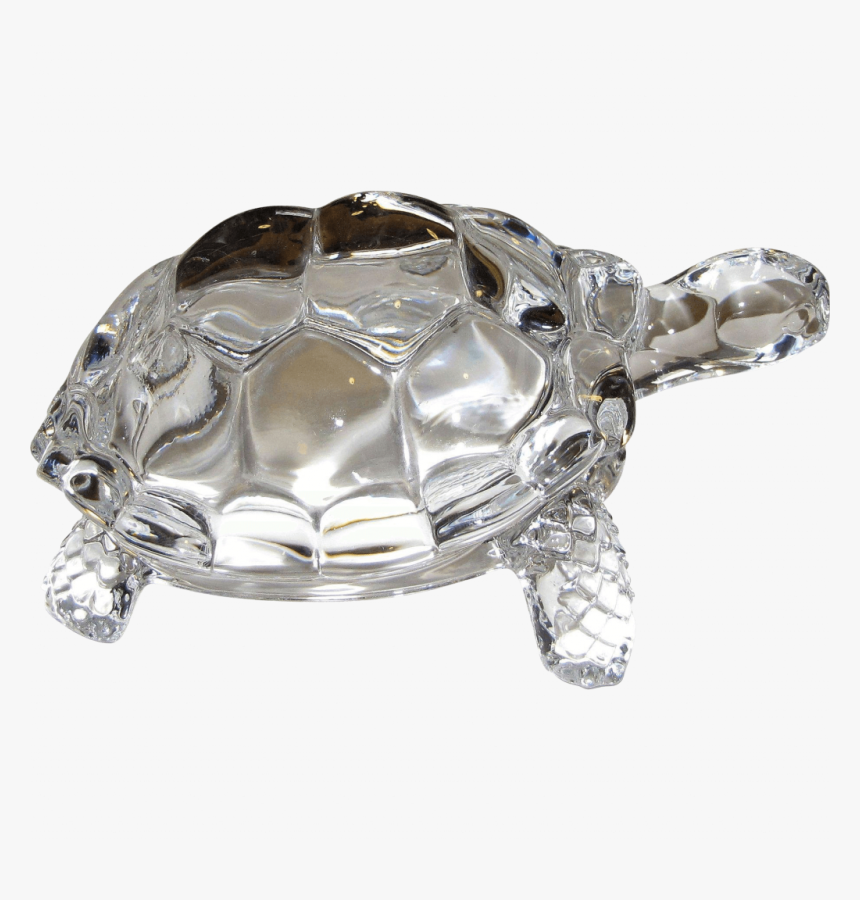 Crystal Turtle, HD Png Download