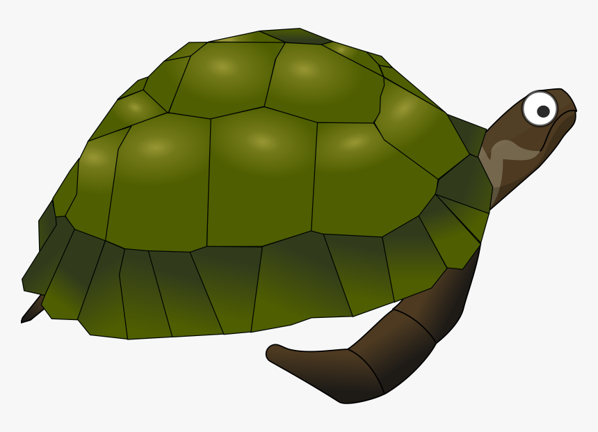 Green Cartoon Turtle Clip Arts - Saint Kateri Tekakwitha Turtle, HD Png Download