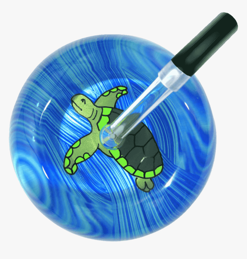 Sea Turtle, HD Png Download