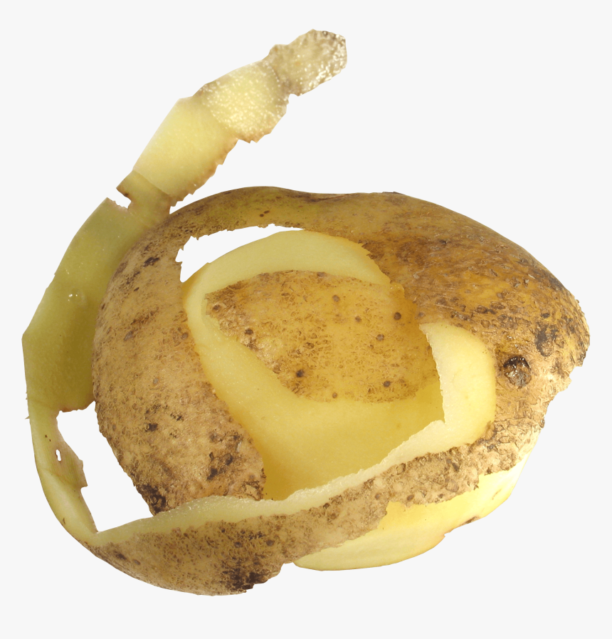 Peeled Potato - Potato Peel No Background, HD Png Download