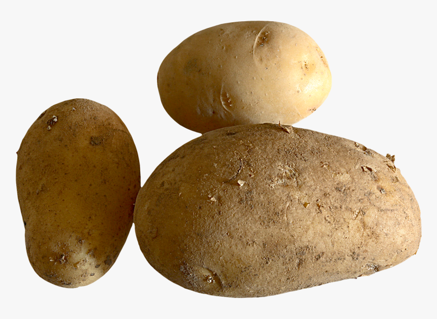 Potato, HD Png Download