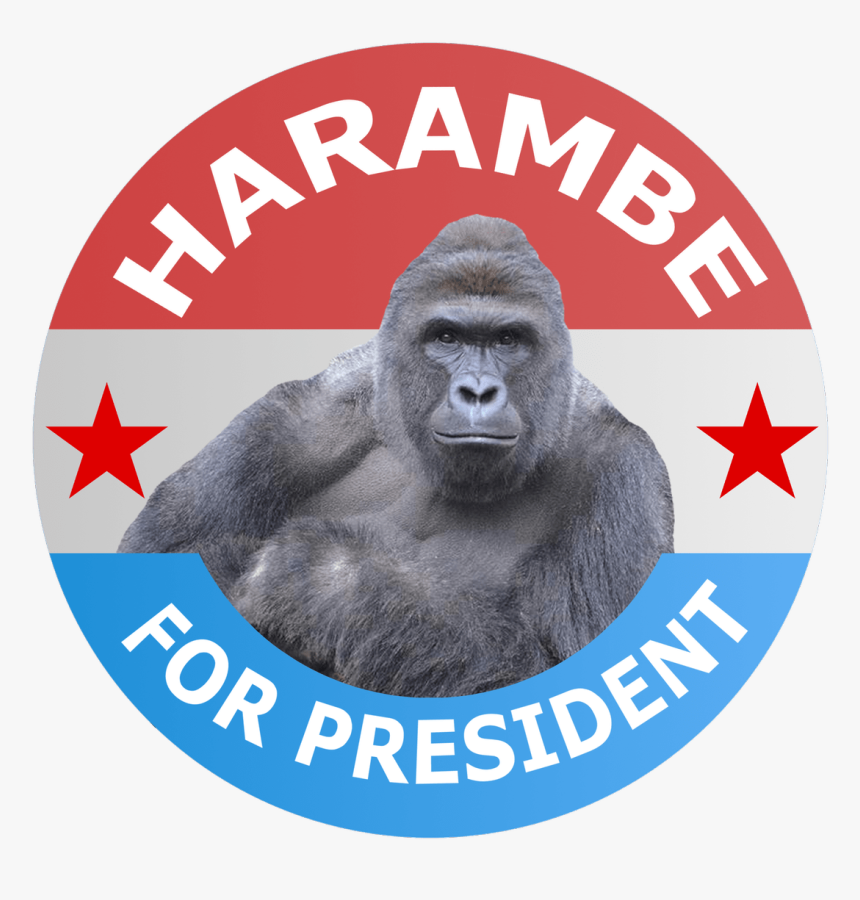 Harambe For President - Harambe President, HD Png Download