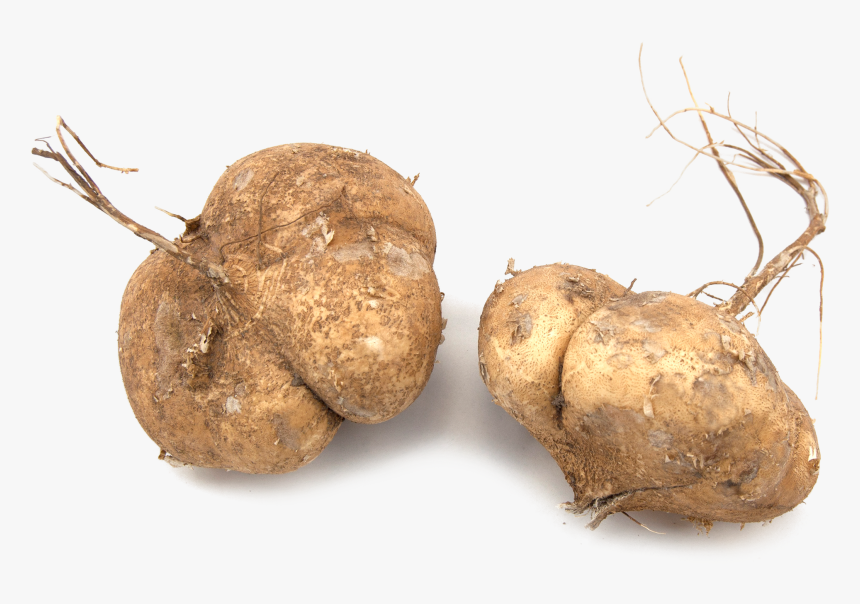 Russet Burbank Potato , Png Download - Tuber, Transparent Png