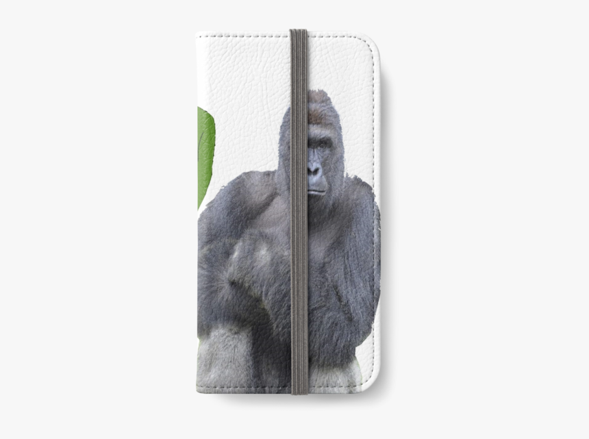 Mountain Gorilla, HD Png Download