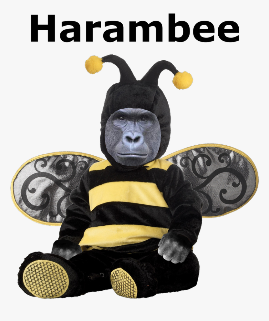 Baby In Bee Costume, HD Png Download