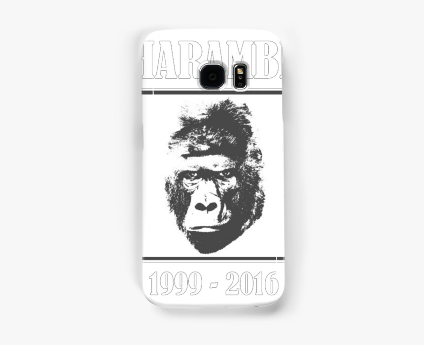 Gorilla, HD Png Download
