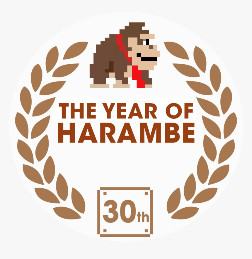 Year Of Luigi, HD Png Download