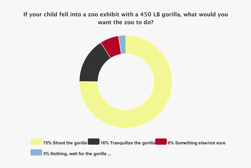Circle, HD Png Download