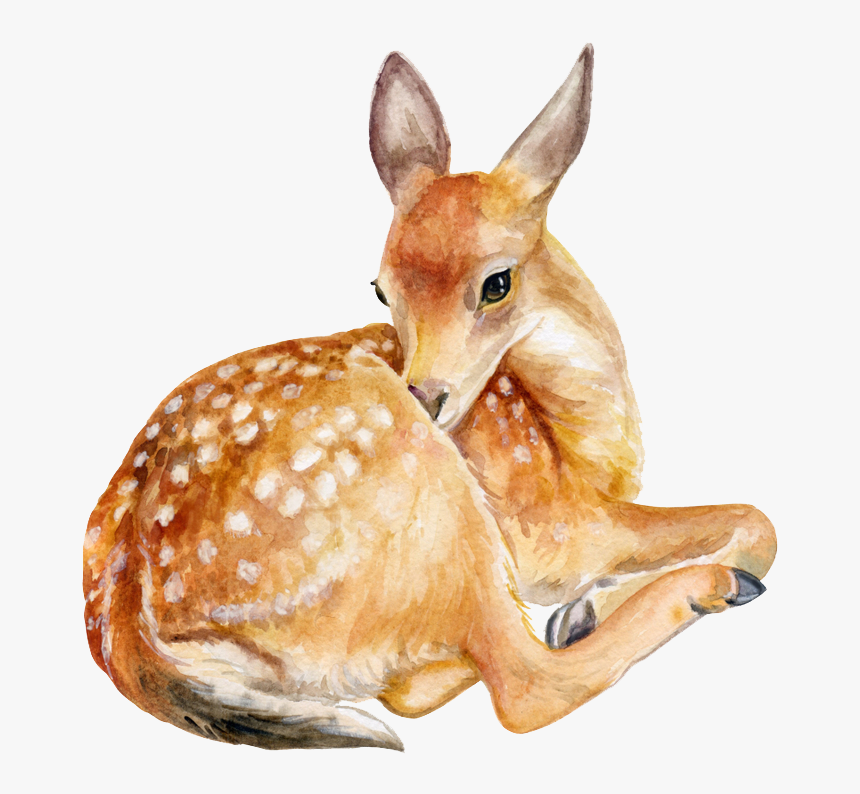 Deer,fawn,roe Deer,animal Figure,wildlife,figurine - Transparent Background Deer Png, Png Download