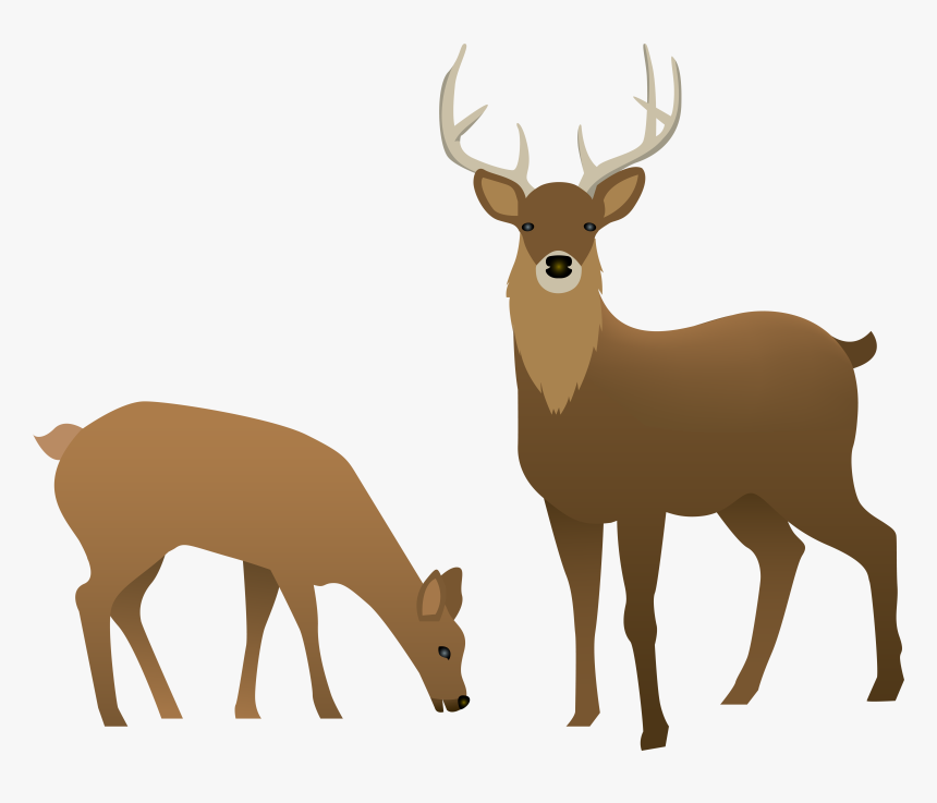 Reindeer Clip Art, HD Png Download