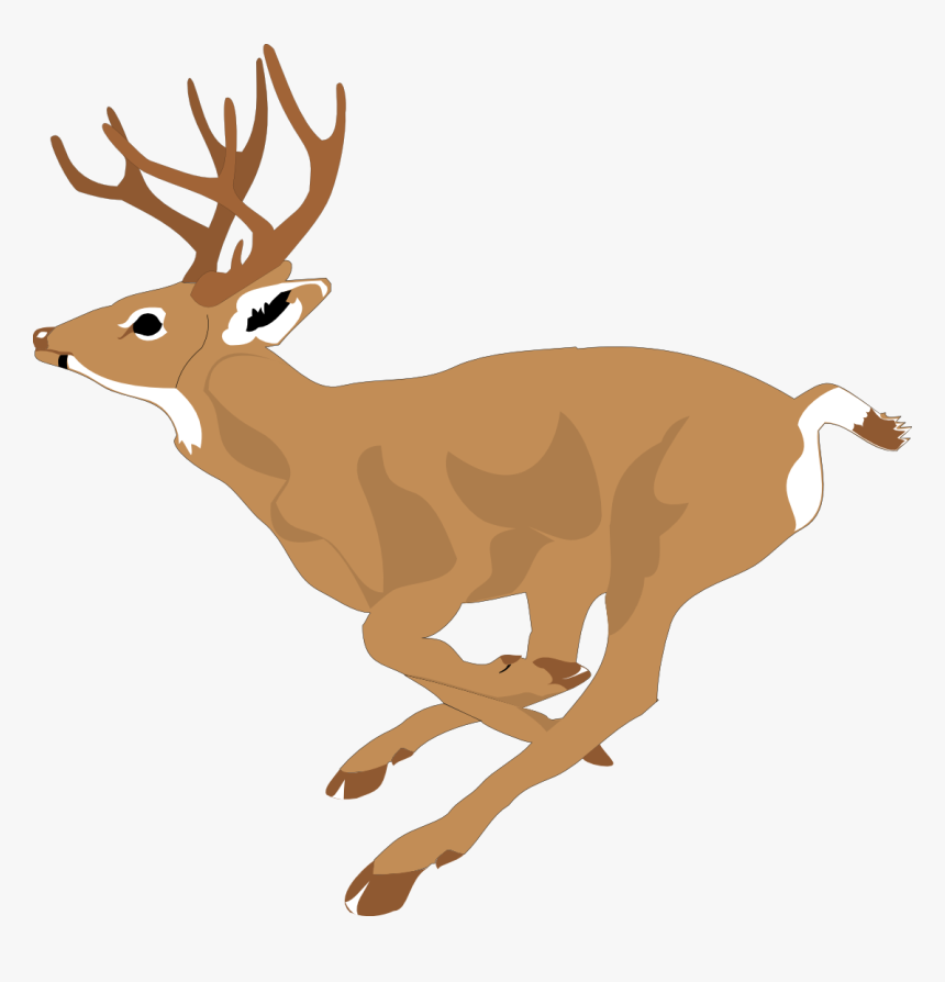 Running Deer Clip Art - Running Deer Clipart, HD Png Download