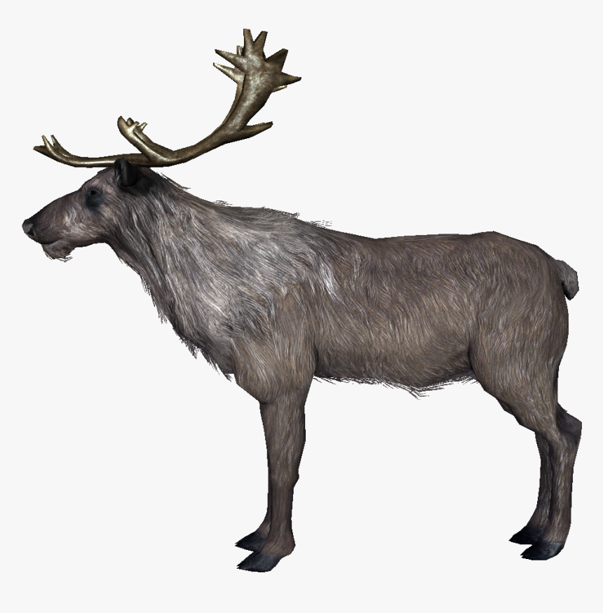 Deer - Skyrim Deer, HD Png Download