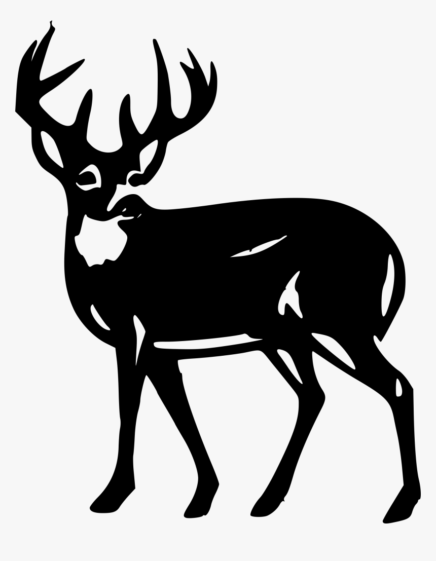 Clipart Deer - Pittman Robertson Act, HD Png Download