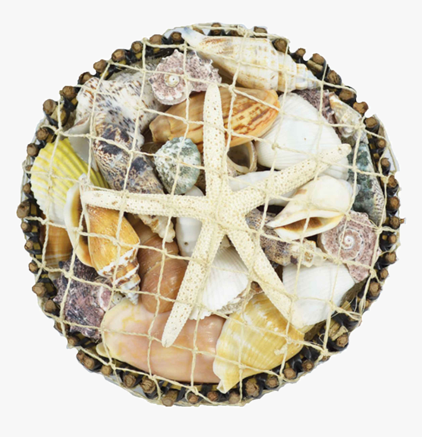 Round Botay Shell Pack & White Star - Starfish, HD Png Download