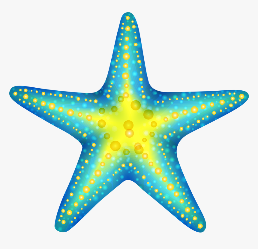 Transparent Starfish Clipart, HD Png Download