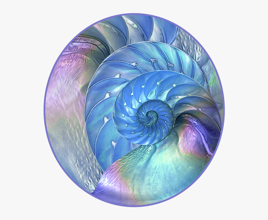 Fractal Art, HD Png Download