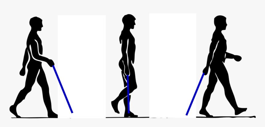 Walk With Walking Stick , Png Download - Man Walking Step By Step, Transparent Png