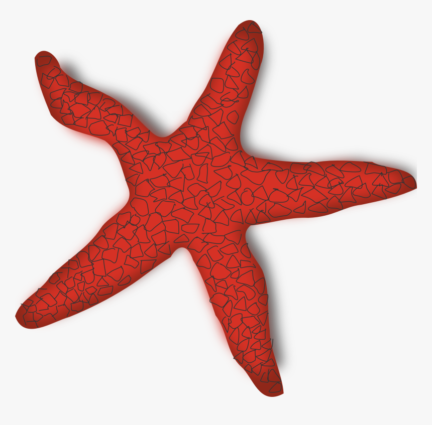 Red Starfish Clipart, HD Png Download