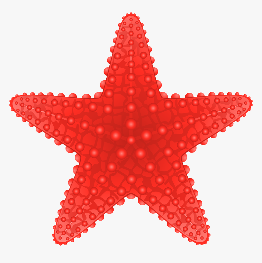 Starfish Cute Clipart Free Best On Transparent Png - Poster Mathematics Around Us, Png Download