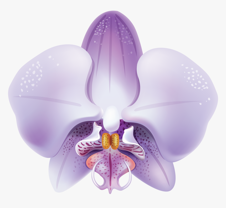 Violet Orchid Png Clipart - Orquideas Lilas Png, Transparent Png
