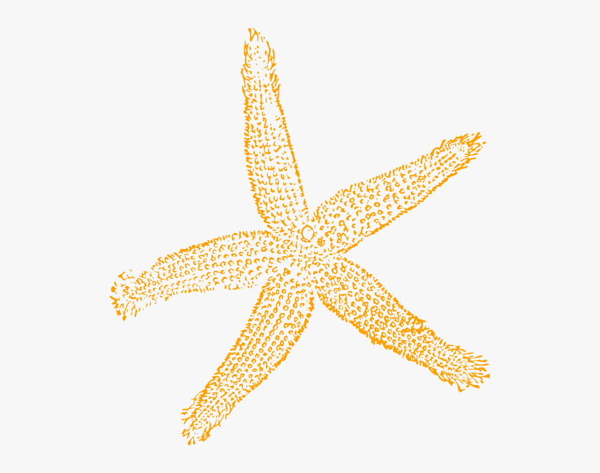 Sandy Starfish Clip Art At Vector Clip Art Online Image - Fish Clip Art, HD Png Download