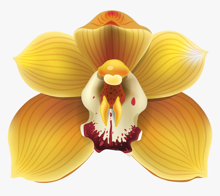 Yellow Orchid Png Clipart - Yellow Orchids Png, Transparent Png
