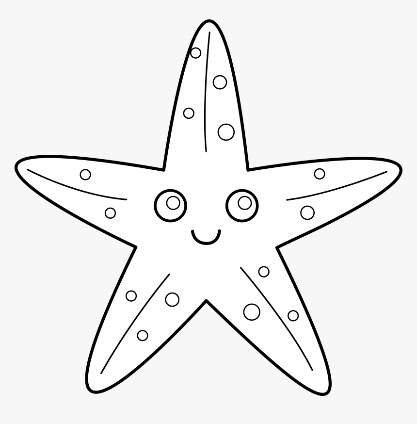 Pix For Starfish Vector Outline - Flag That Looks Like America, HD Png Download
