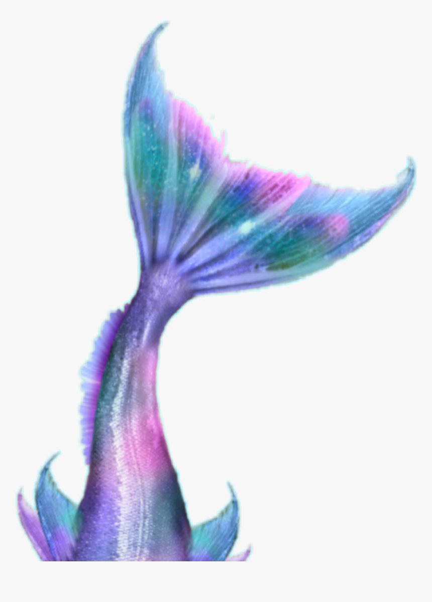 #sirena #mermaid - Mermaid, HD Png Download