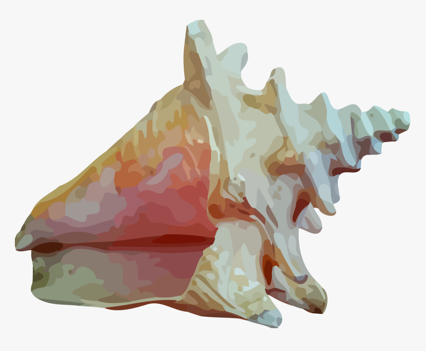 Sea Shell 12 Clip Arts - Shell Sea, HD Png Download