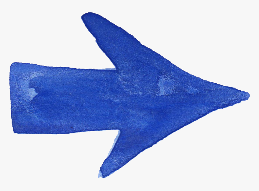 Starfish, HD Png Download