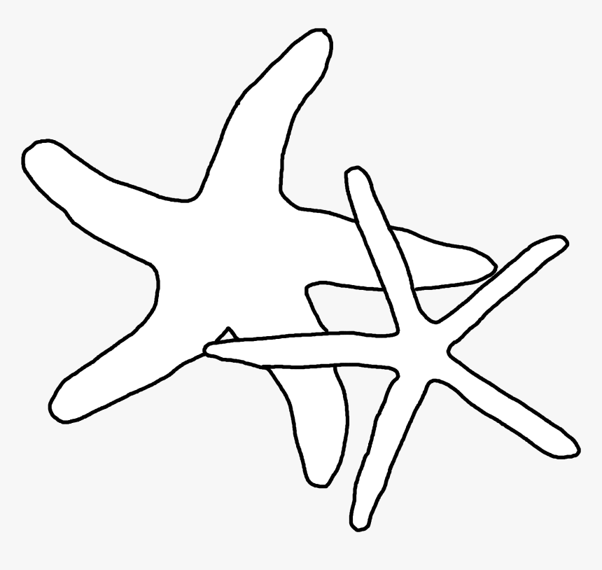 Drawing Shell Starfish - Starfish, HD Png Download