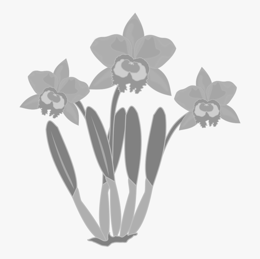 Flower Orchid Clipart Black And White, HD Png Download